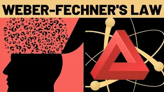 Weber- Fechner's Law Explained