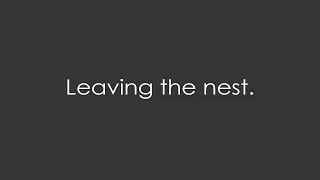 Leaving the nest. - Short animation of primitive blocks