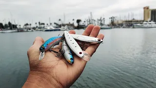 FISHING FRESHWATER LURES for SALTWATER CRITTERS! -- San Diego Bay (Spanish Landing Park)