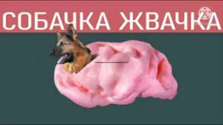 Мышка сосиска