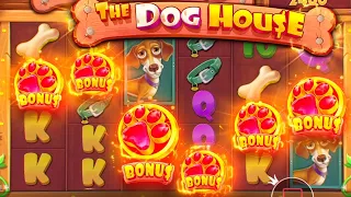 TOP 5 MAX WIN Dog House Megaways & Starlight Princess 🚀 GAMBLING WINS OF THE WEEK ⏩😱 OMG !!!!