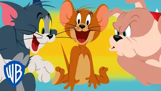 Tom & Jerry | Tom VS Spike Compilation | WB Kids