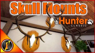 Hunting Trophy Roosevelt Elk for Skull Mounts in theHunter Classic!