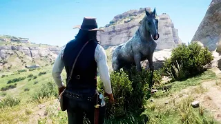 ATRAPE UN CABALLO SALVAJE | RED DEAD REDEMPTION 2