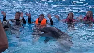 Лера с Дианой танец с дельфинами. Египет Дельфинарий Шарм-Ель-Шейх