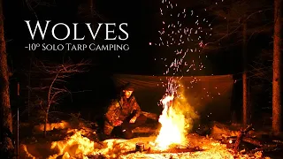 Winter Camping Alone near WOLVES! -10ºC