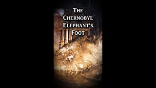 The Chernobyl Elephant's Foot | Fascinating Horror Shorts