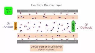 Capillary Electrophoresis