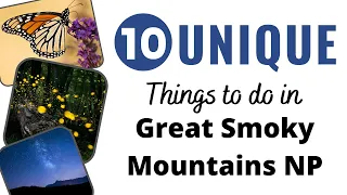 Top 10 Things to Do in Great Smoky Mountains National Park