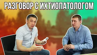 Разговор с ихтиопатологом. Разбираемся с разведением и содержанием рыб.