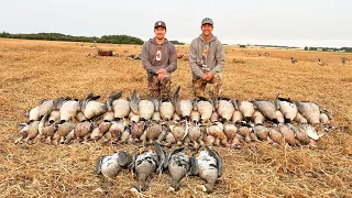 Duck and Goose Hunting Alberta Canada! (Opening Weekend)