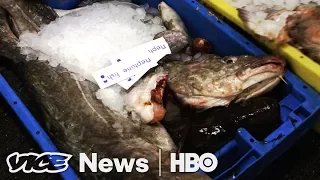 Immigration Raids & Britain's Fish After Brexit: VICE News Tonight Full Episode (HBO)