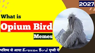 what is opium bird in hindi | what is opium bird meme | opium bird kya hai | opium bird 2027 | means
