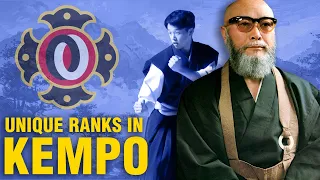 What is Shorinji Kempo?