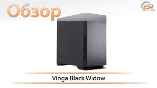 Обзор корпуса Vinga Black Widow: разрушитель стереотипов