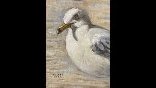How to Paint a Seagull#arttutorial #artclass #painting #art #animalportrait #allaprima #oilpainting