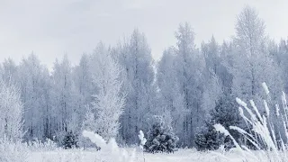 Снег! Зима! ОТЛИЧНАЯ МУЗЫКА ДЛЯ ДУШИ! Эту музыку можно слушать вечно