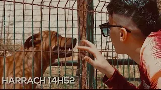 Riad Bouroubaz - CV-19 .Vol 2 (Clip Officiel)