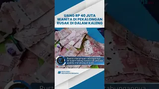 Bukan Dimakan Rayap, Terkuak Fakta Baru Uang Tabungan Rp 40 Juta yang Rusak di Dalam Kaleng