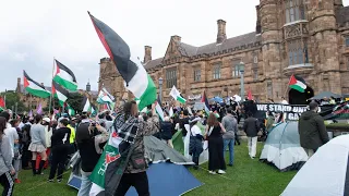 Opposition puts forward ‘great idea’ to cancel visas of pro-Palestinian students protesting