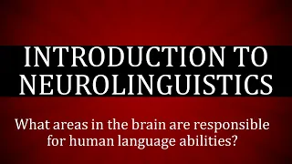 Neurolinguistics in Linguistics - Neurolinguistics Language and Brain -  Language Parts of the Brain