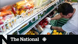 Grocery price freezes and discounts coming soon, government says