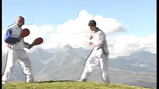 Taekwondo - Techniques de coups de pieds