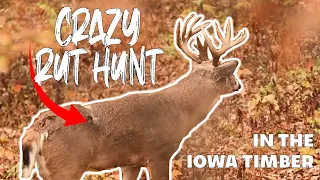 October 29th Crazy Rut Hunt in the Iowa Timber! | Real Time