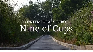 Nine of Cups in 3 Minutes