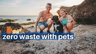 HOW TO LIVE ZERO WASTE WITH PETS! zero waste with a dog AND zero waste with a cat 🐶🐈