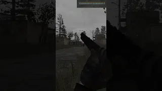 Легальный чит.God mode в Stalker Anomaly.Desolation