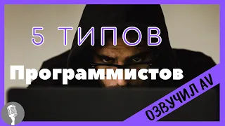 5 типов программистов