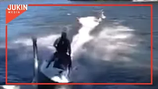 Man Flips off Jet Ski After Crashing into Barrier