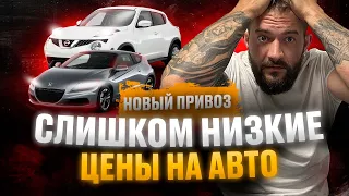 БОЛЬШОЙ ВЫВОЗ АВТО ИЗ ЯПОНИИ❗️ TOYOTA PRADO❗️NISSAN JUKE❗️SUZUKI HUSTLER ❗️ HONDA CR-Z❗️