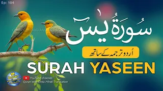 Surah Yaseen / Yasin Tarjuma ke sath | Tilawat | Episode 104 | Quran with Urdu Translation