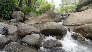 Calming sound of the river | River sounds for deep sleep in 10 minutes