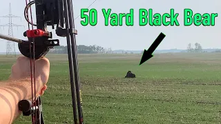 We Spot and Stalk a Monster Archery Black Bear!