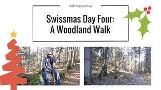 A Woodland Walk | 18th December 2016