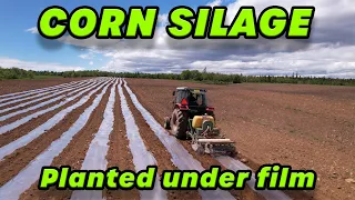 Planting 2022 Corn Silage Under Plastic