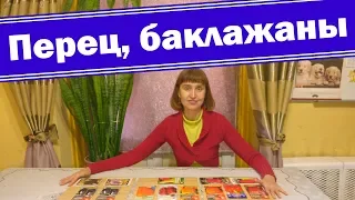 Семена перца и баклажан 2019. Мой выбор