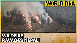 Nepal battles raging wildfires amidst intense heatwave | Wildfire engulfs forest near Kathmandu