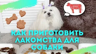 Как легко самому приготовить лакомства для собак.