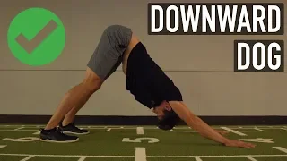 Downward Dog | Do It Right! (With Progressions)