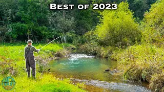 THE BEST FLY FISHING / TROUT FISHING VIDEO! (Best of Compilation - 2023)