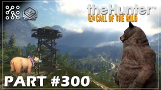 Jak ulovit DIA. Po stopách GO. Začíná můj lov.  #300 | The Hunter: Call of the wild  |  Česky