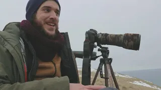 Land-based virtual whale watch experience in Vestmanneyjar, Iceland