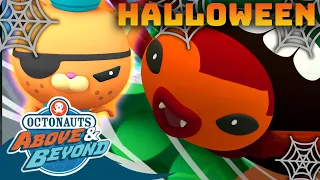 Octonauts: Above & Beyond - 🕸️ Creepy Crawlies 🕷️ | 🎃 #Halloween | Compilation | @Octonauts​