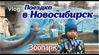 Влог | Месяц с нами |  Поездка в Новосибирск| Зоопарк