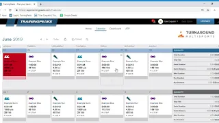 TrainingPeaks  Athlete Basic Account