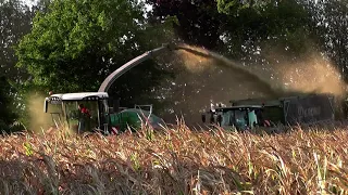 Maishäckseln 2022 mit Fendt Katana 85 u. Kemper Champion 390 Plus Schneidwerk Teil 1.